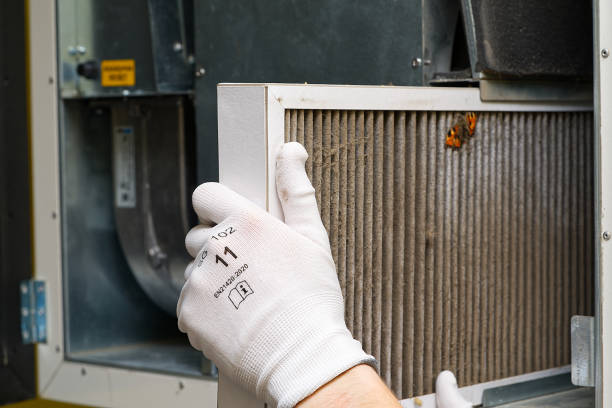 Best Air Duct Cleaning Company Near Me  in Stapleton, AL